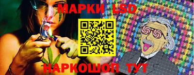 стаф Краснодар