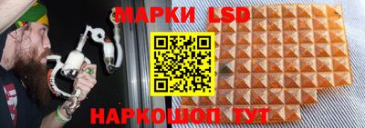 стаф Краснодар
